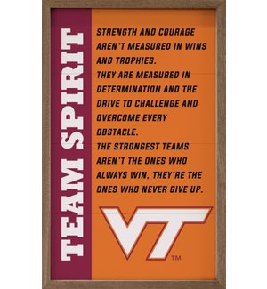 Team Spirit Virginia Tech
